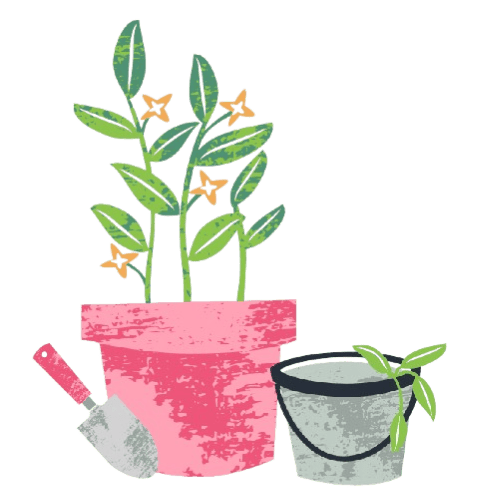 Step two, plant the Floweverbox