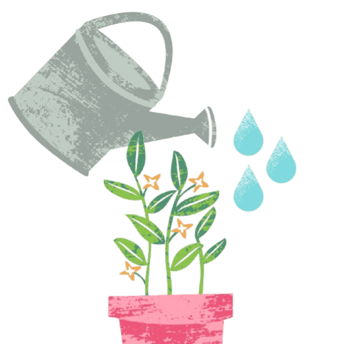 Step three, grow your flowers